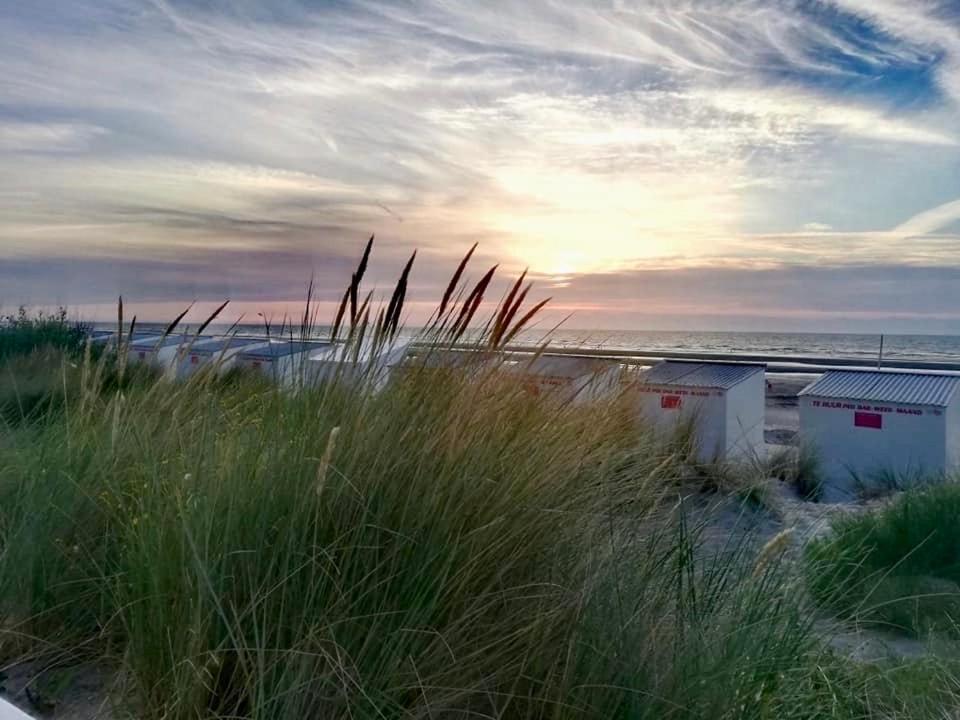Seayousoon Nieuwpoort-Bad Eksteriør bilde